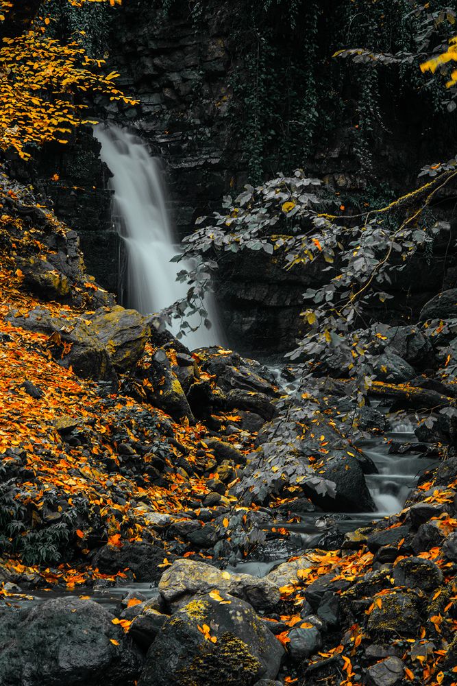 Фотография автора Farhad Alidost