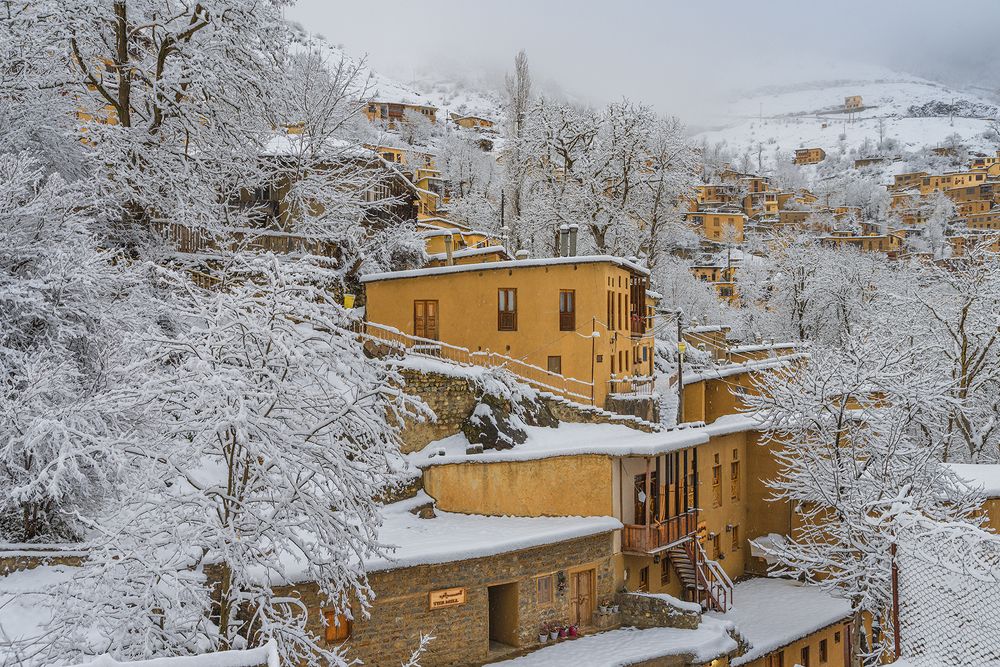 Фотография автора Farhad Alidost