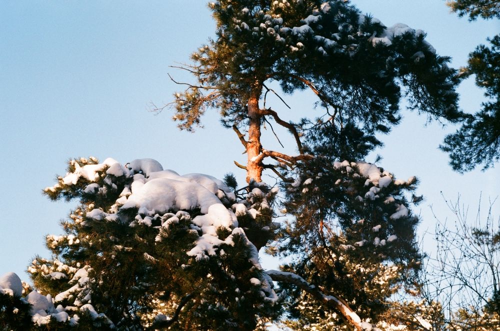 Photograph by Екатерина Немова