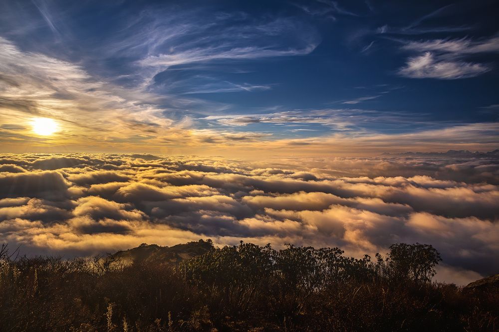 Photograph by Joyraj Samanta