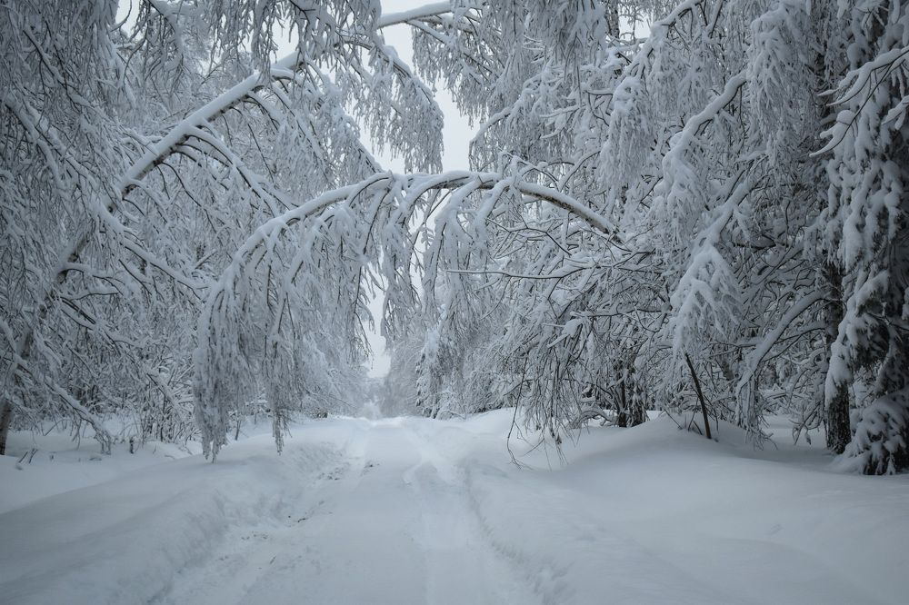 Photograph by Роман Пацкевич