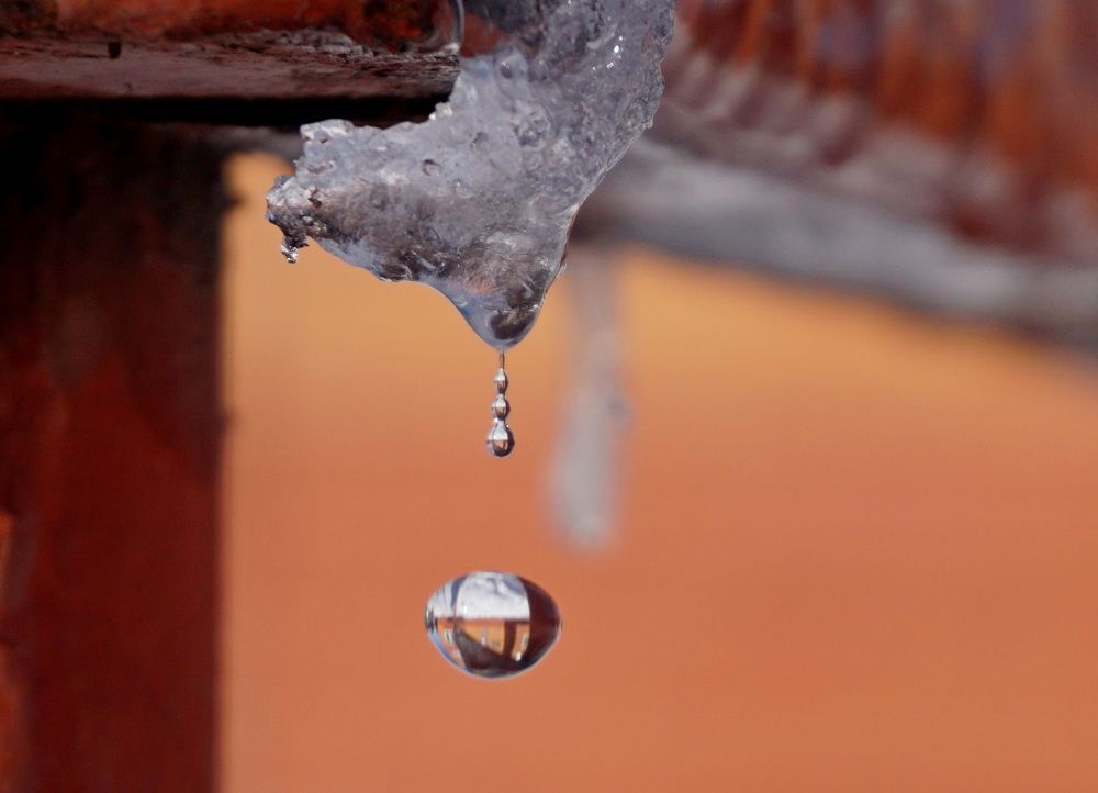 Photograph by Оксана Трофименко