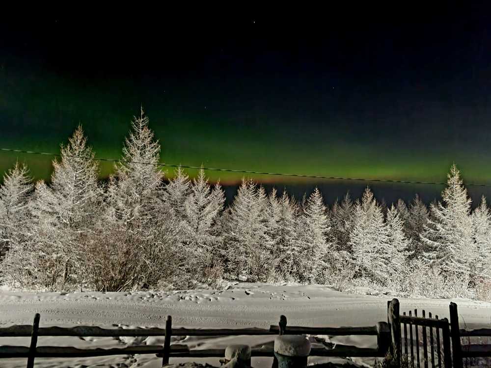 Photograph by Альбина Алексеева - Бугименова