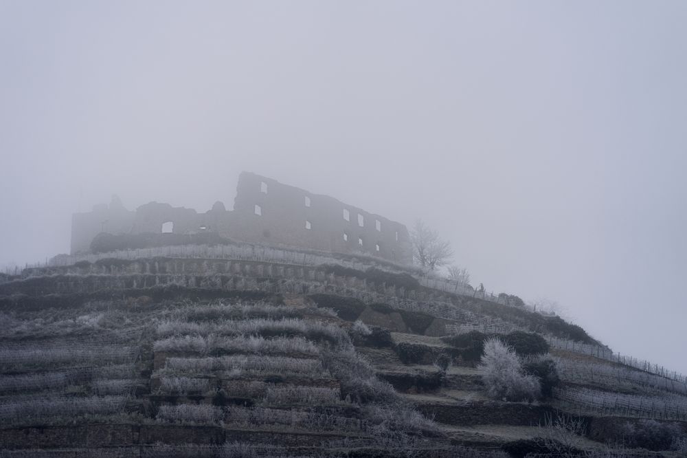 Photograph by Анастасия Ди Филиппо