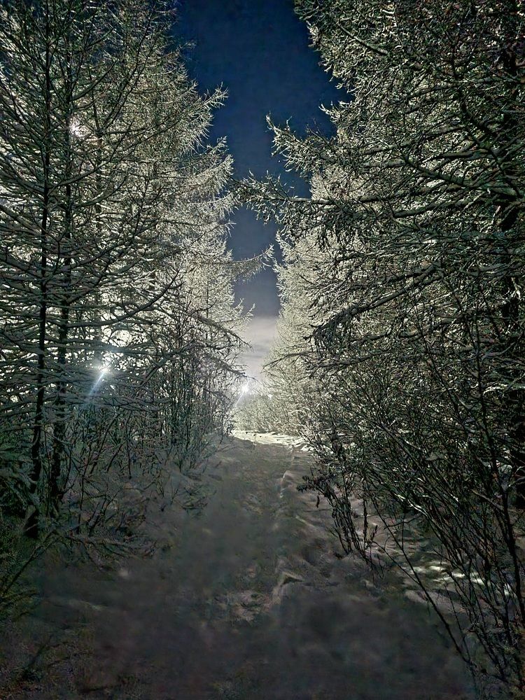 Photograph by Альбина Алексеева - Бугименова