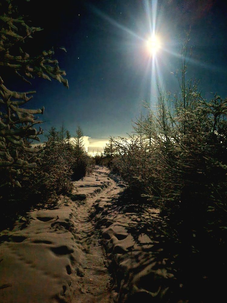 Photograph by Альбина Алексеева - Бугименова