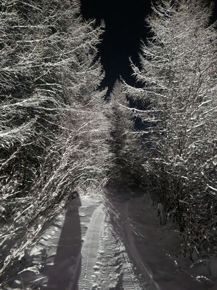 Photograph by Альбина Алексеева - Бугименова