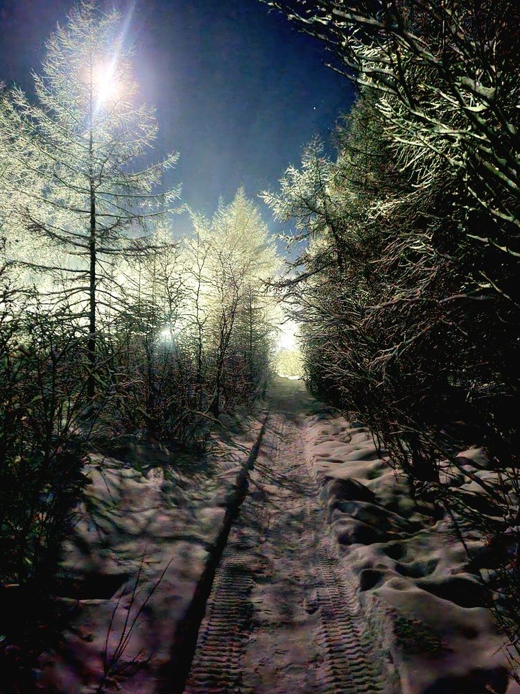 Photograph by Альбина Алексеева - Бугименова