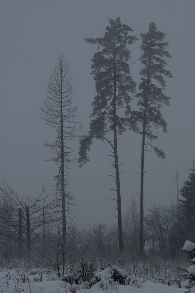 Photograph by Михаил Марсаков