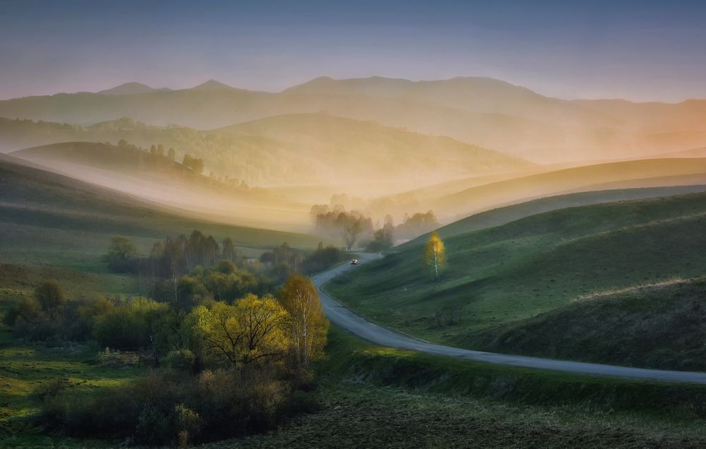 Photograph by lora_pavlova