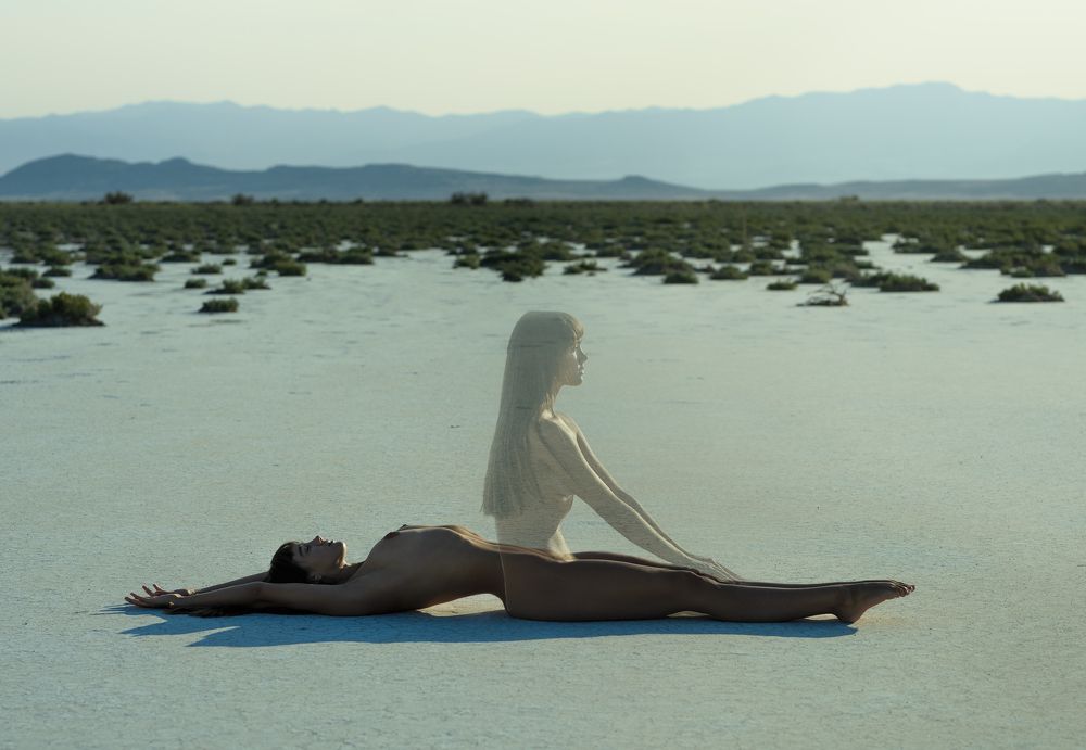 Photograph by  Ellis