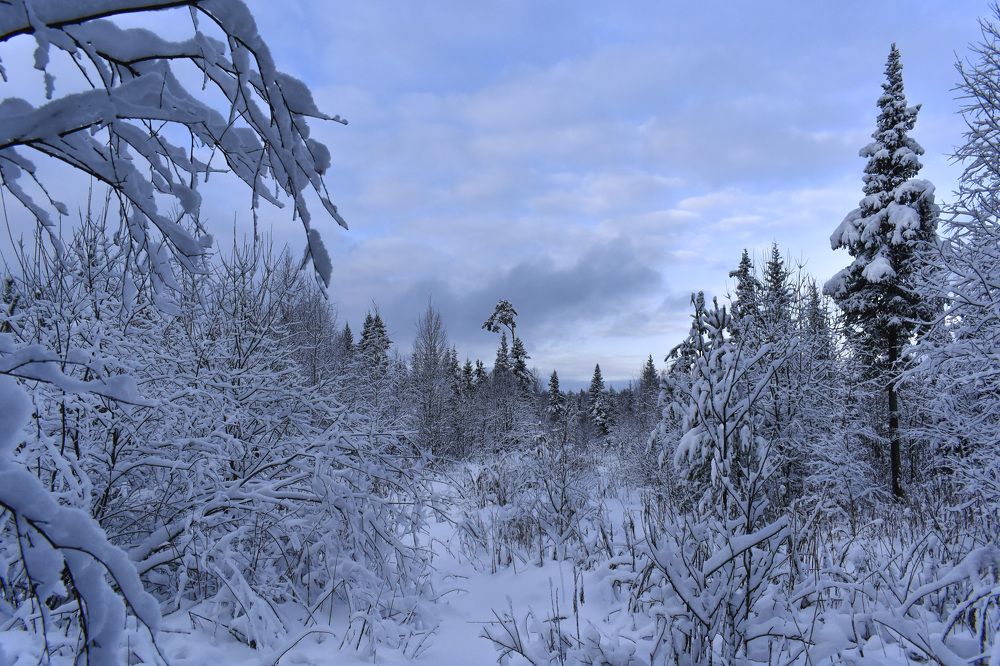 Photograph by Роман Пацкевич