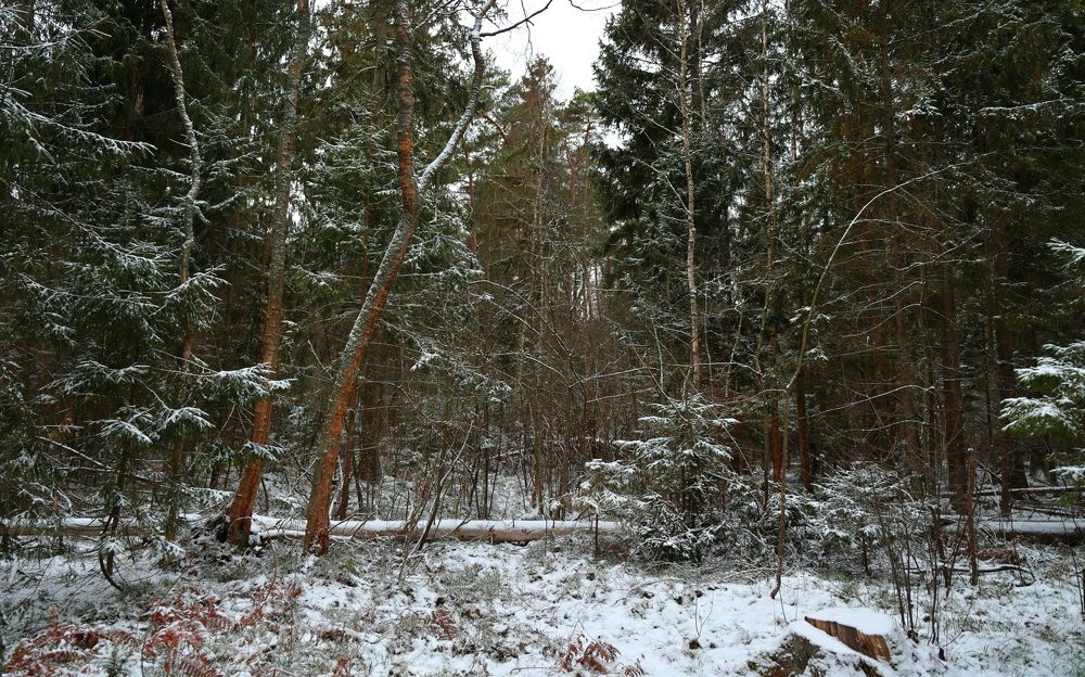 Photograph by Владимир Чернышов