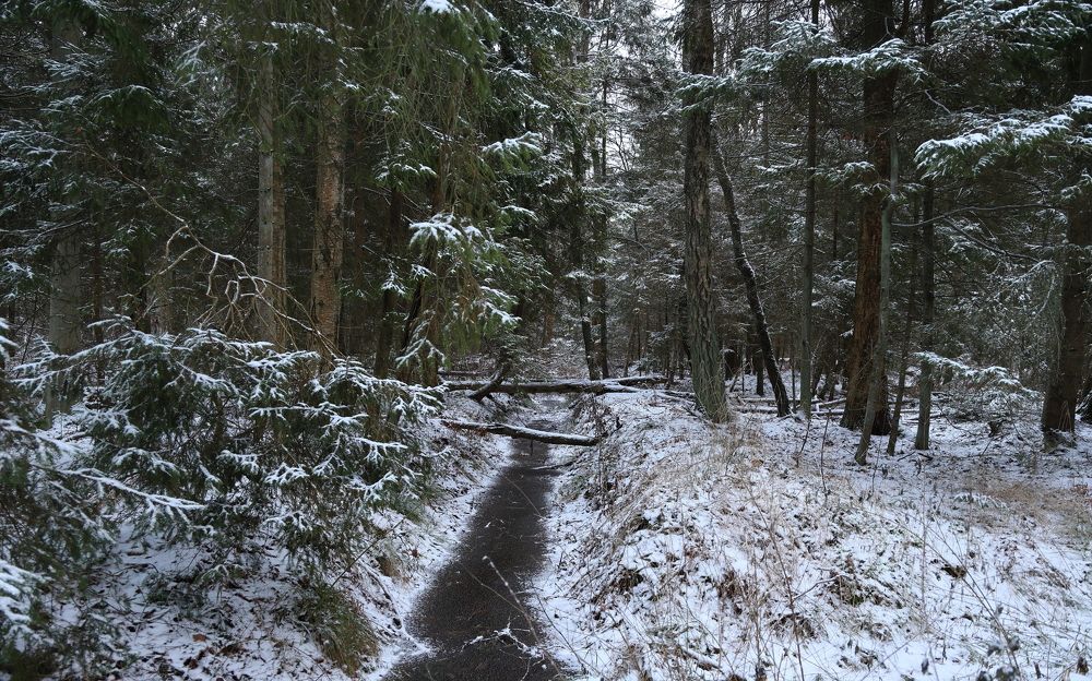 Photograph by Владимир Чернышов