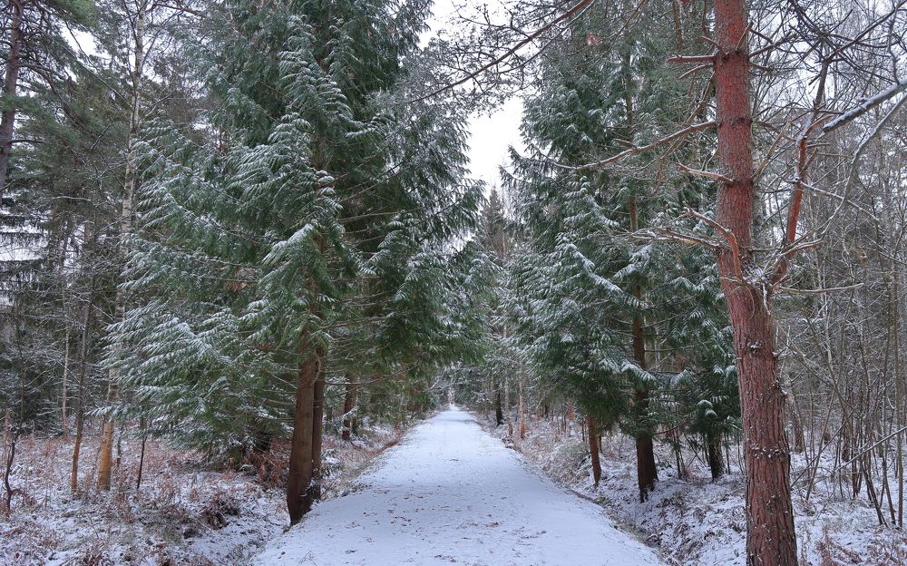 Photograph by Владимир Чернышов