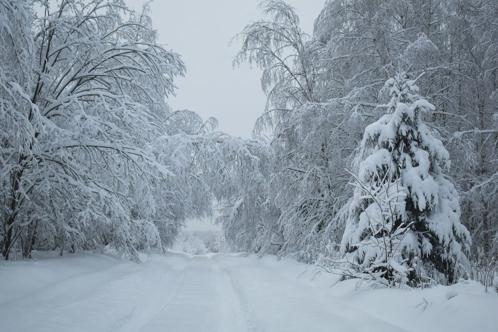 Photograph by Роман Пацкевич