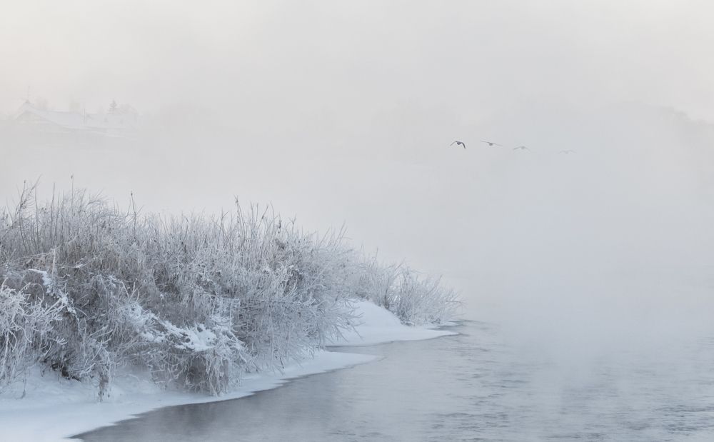 Photograph by Илья Костин