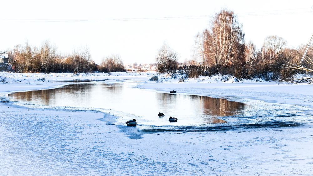 Photograph by Элеонора