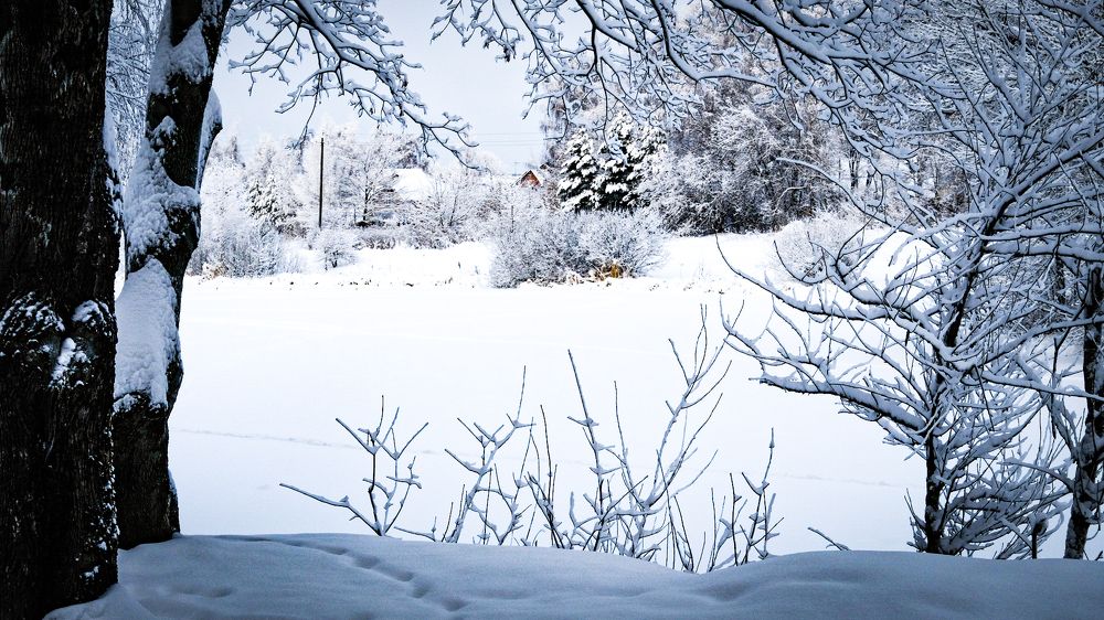 Photograph by Элеонора