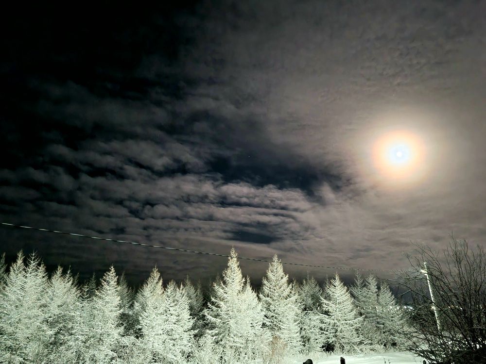 Photograph by Альбина Алексеева - Бугименова