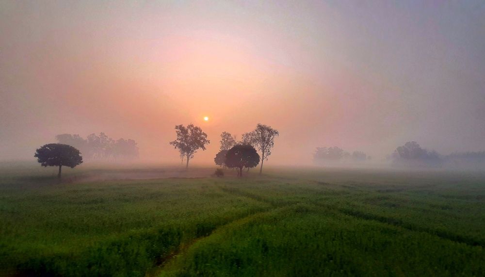 Foggy winter morning.