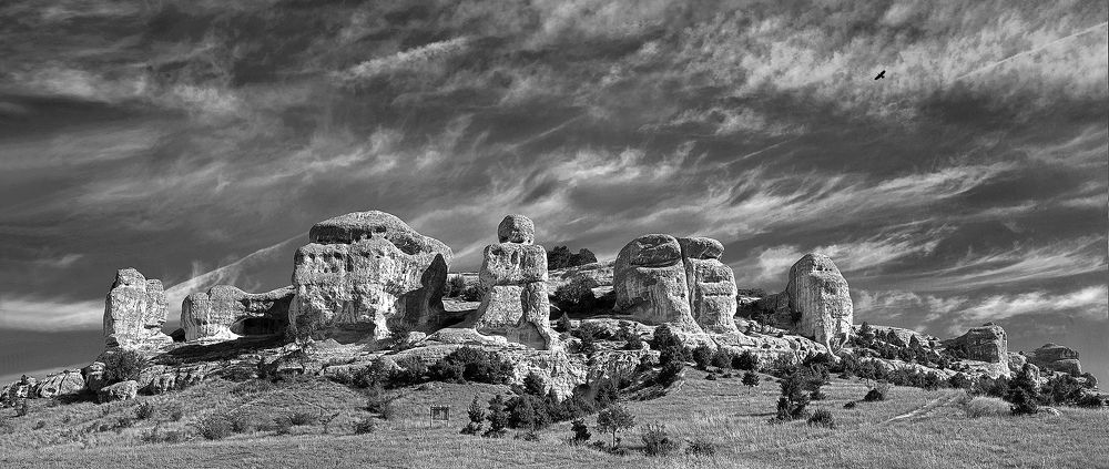 ЧЕРНЫЙ ПЕЙЗАЖ