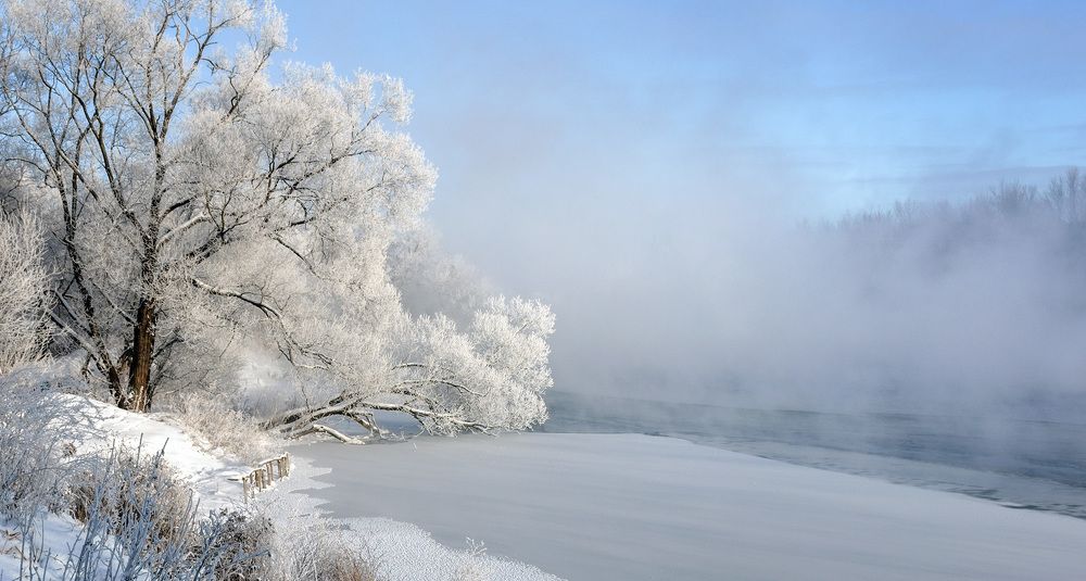 Морзное утро.