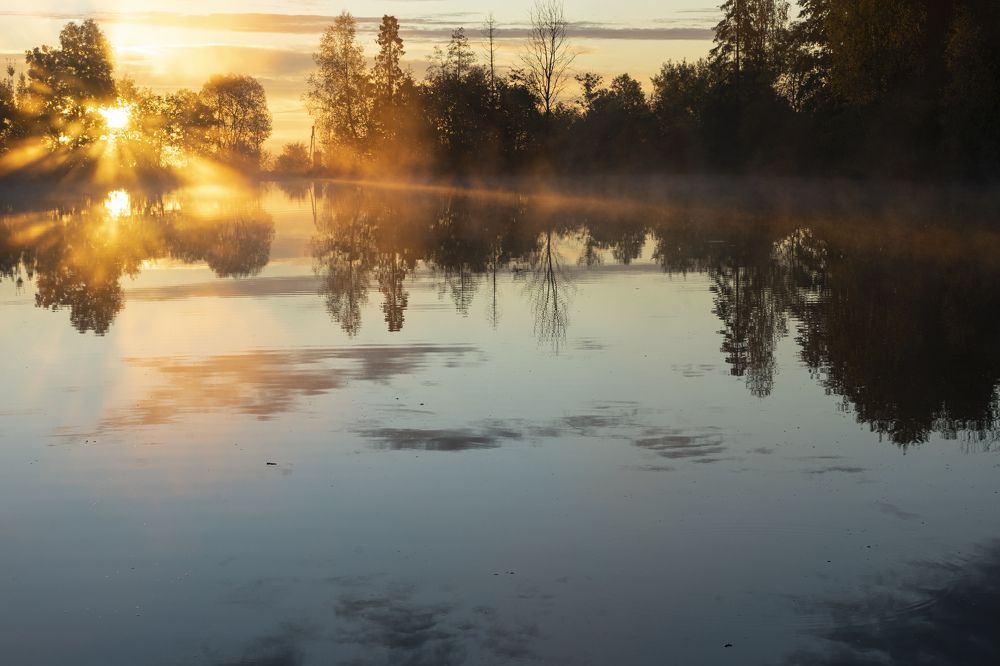 Фотография автора Ирина Зайцева