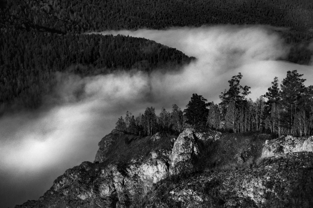 Фотография автора Анна Рыжкова