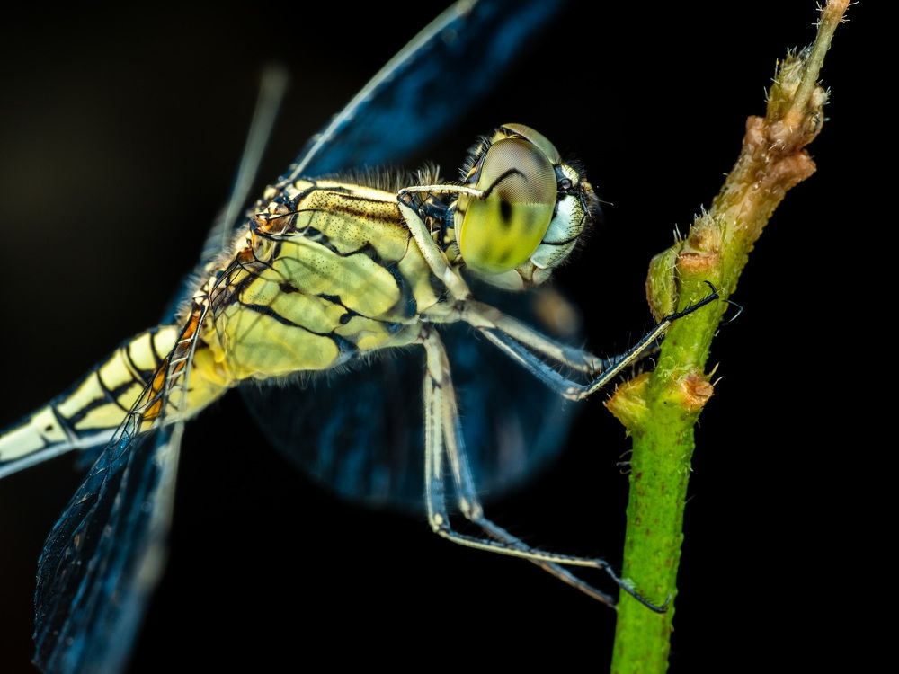 Photograph by Alstein Lai