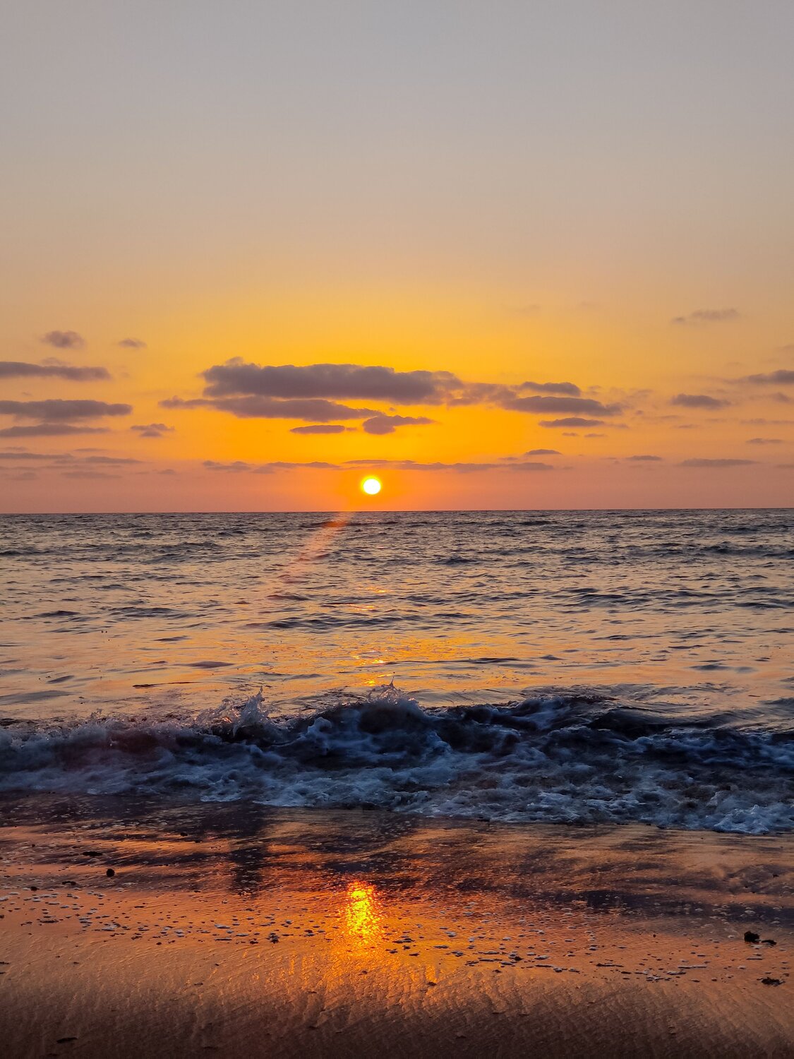 Photo #6909349