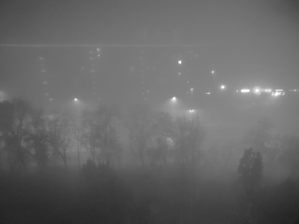 Photograph by Николай Косцов