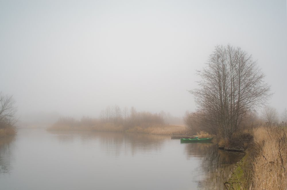 Photograph by Николай Фонарёв