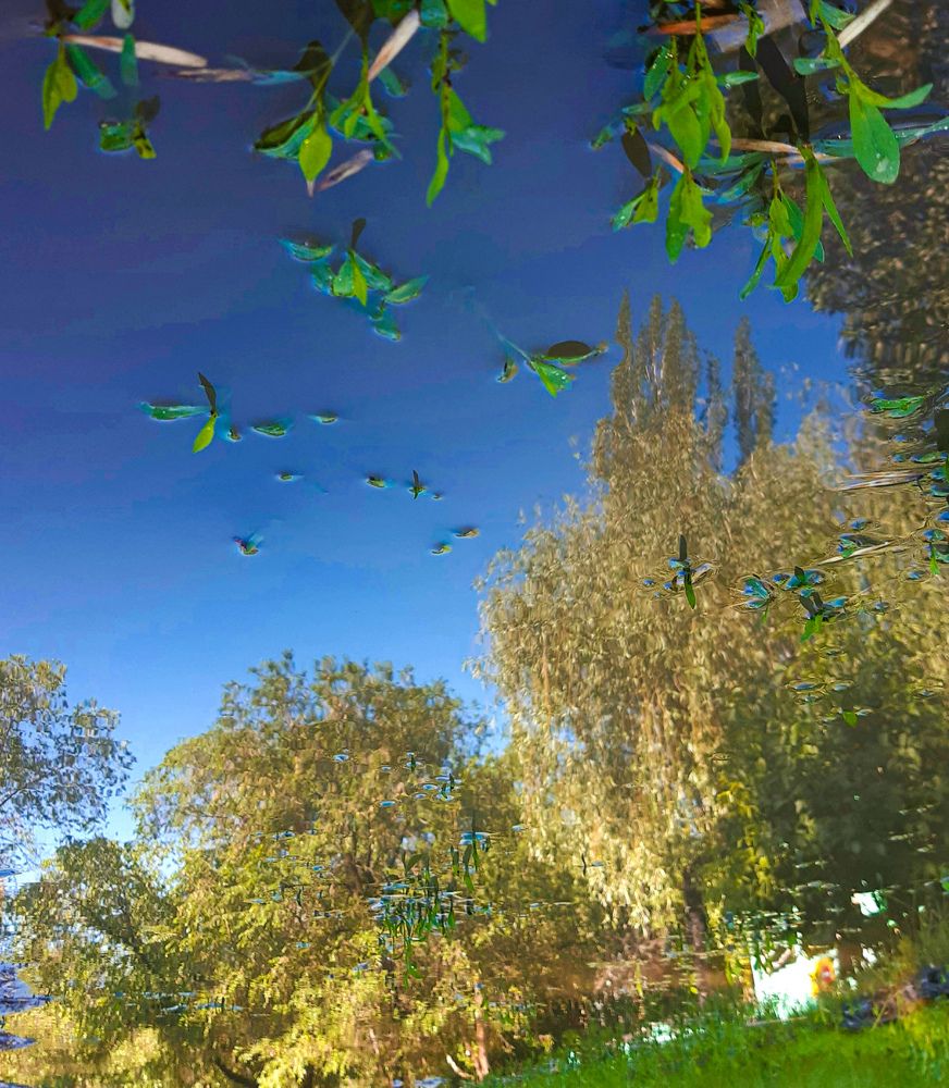 Photograph by Людмила