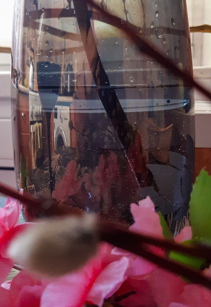 Photograph by Людмила