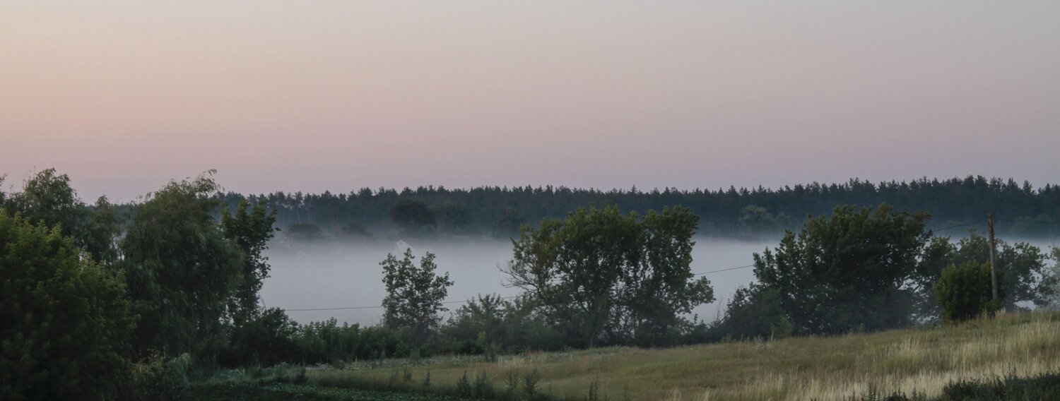 Photo #6909511