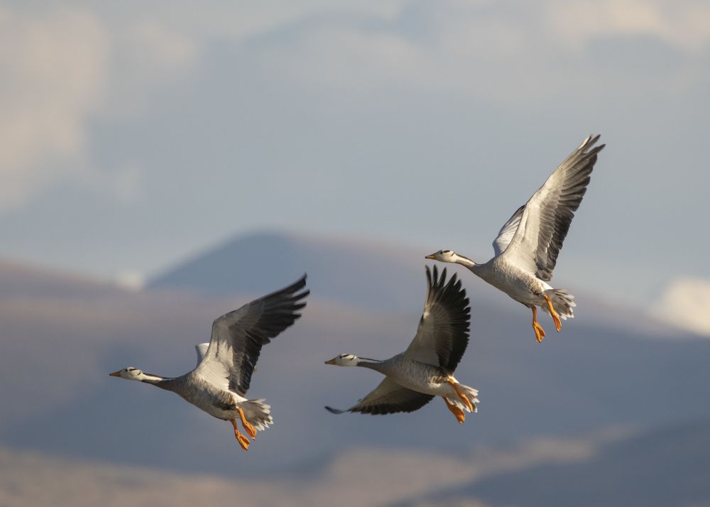 Photograph by Жбир Денис