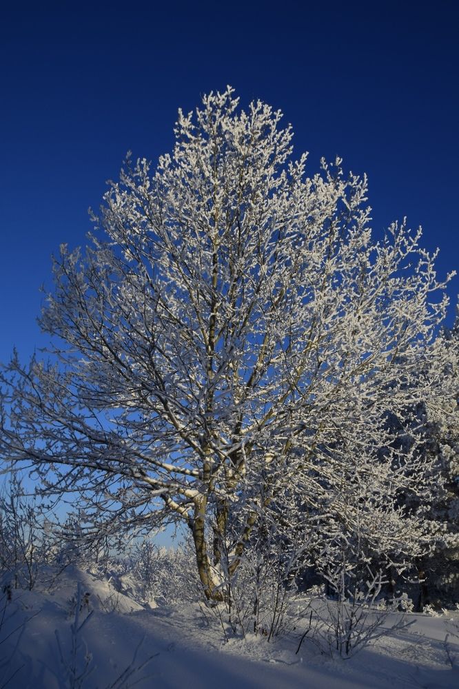 Photograph by Марина Корреа Ластра