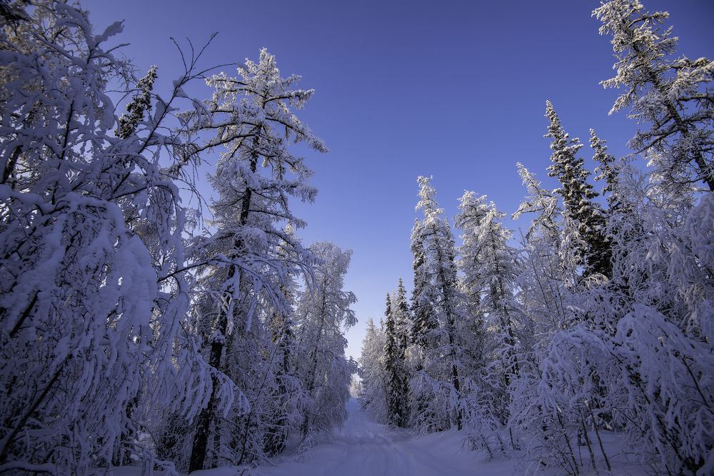 Photograph by Кадырова Марина