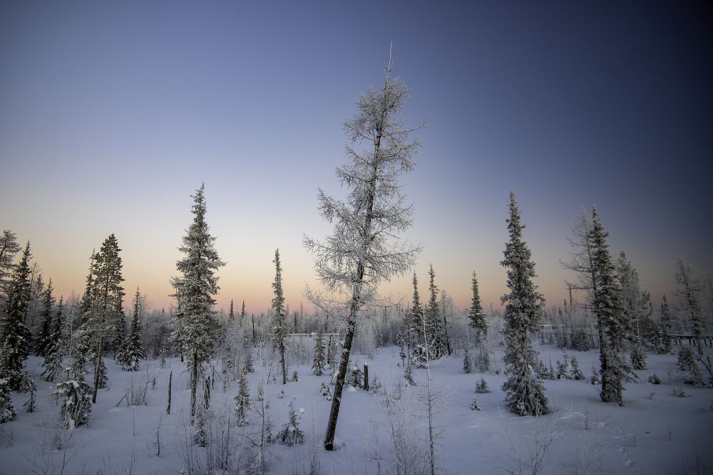 Photograph by Кадырова Марина