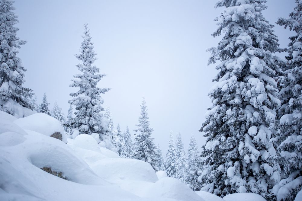 Photograph by Марина Смирнова