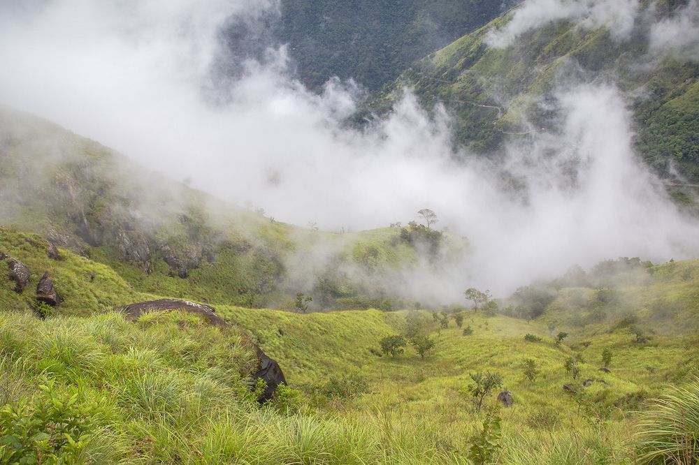 Photograph by Laddu Sasindu Pramuditha De Silva