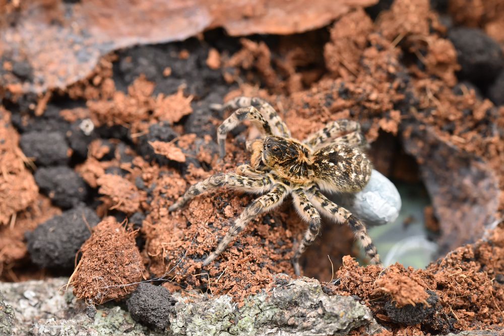 Photograph by fredy86