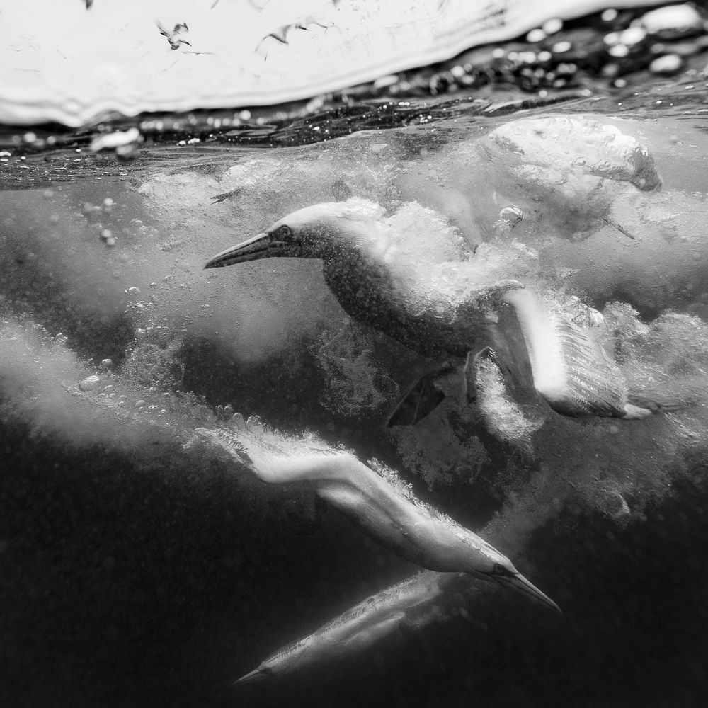 No place for manners