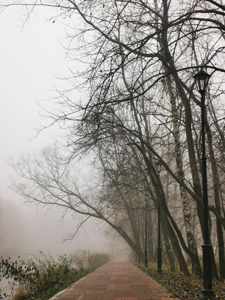 Photograph by Рубчихина Юлия