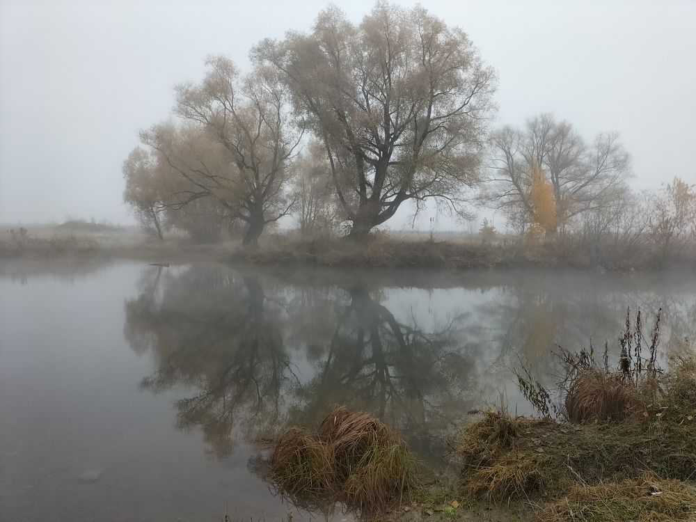 Photograph by Екатерина Оспанова