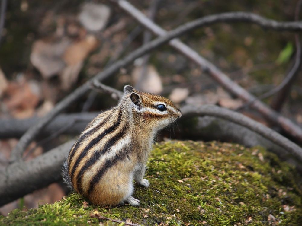 Photograph by Юлия Серазетдинова