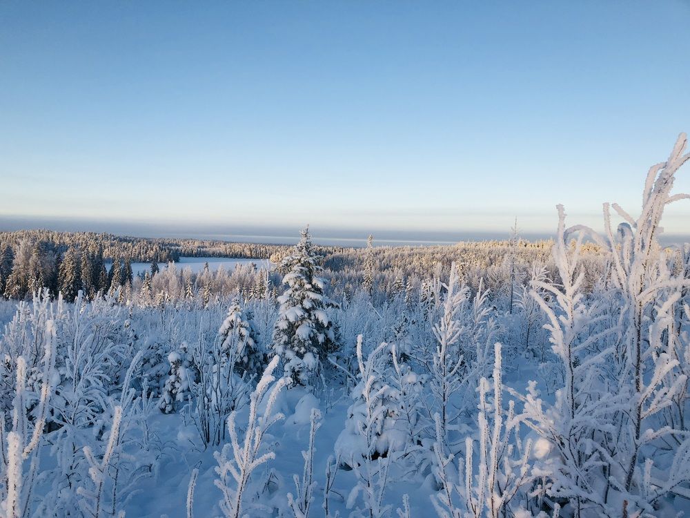 Photograph by ЮЛИЯ СУЛИМОВА