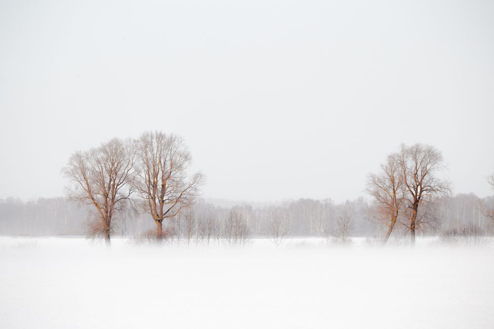 Photograph by Dzintra Zvagina