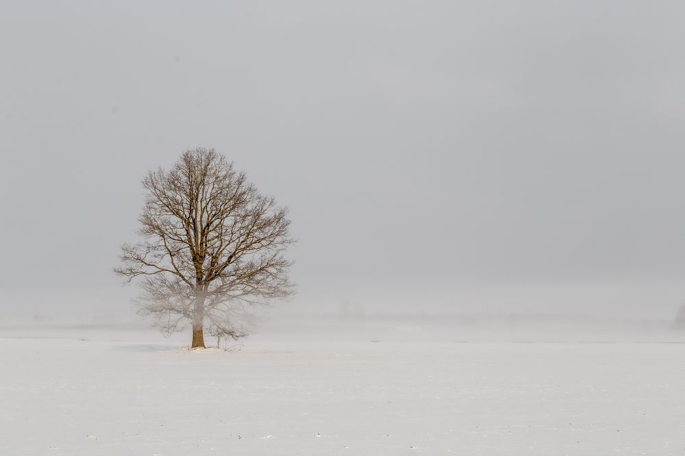 Photograph by Dzintra Zvagina